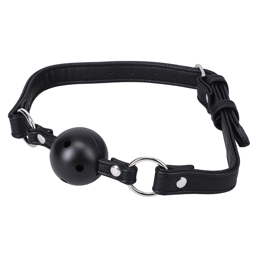 Ball Gag In A Bag