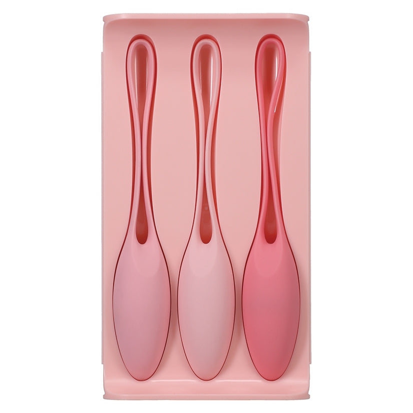 Kegel Trainer Set In A Bag