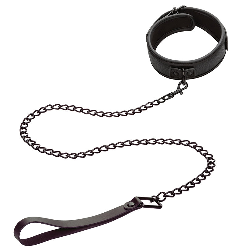 Nocturnal Collection Collar & Leash