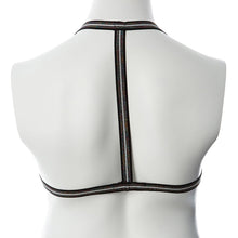 Load image into Gallery viewer, Gender Fluid Silver Lining Harness-Rainbow Glitter S-L-Boxed
