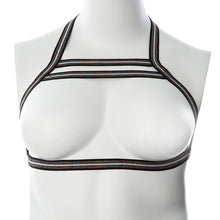 Load image into Gallery viewer, Gender Fluid Silver Lining Harness-Rainbow Glitter S-L-Boxed
