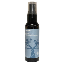 Load image into Gallery viewer, Earthly Body Mellow Cooling Spray 2oz
