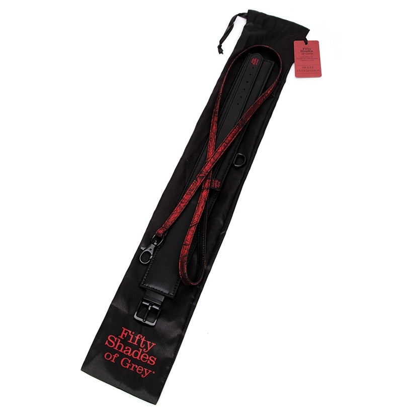 Fifty Shades of Grey Sweet Anticipation Collar and Leash