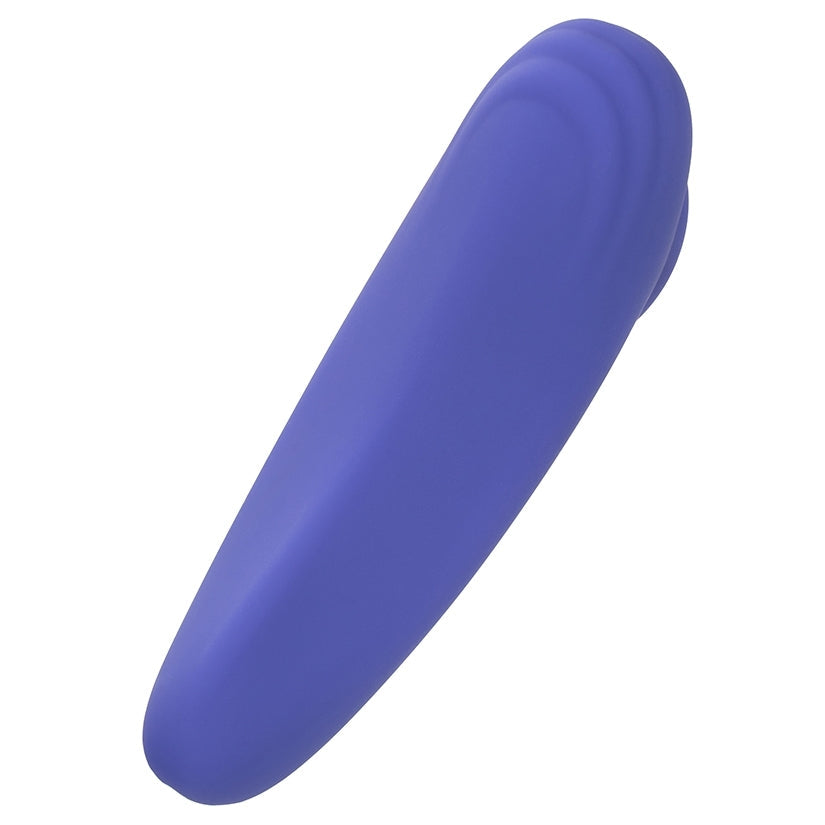 CalExotics Connect Panty Teaser