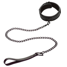 Load image into Gallery viewer, Nocturnal Collection  Collar &amp; Leash
