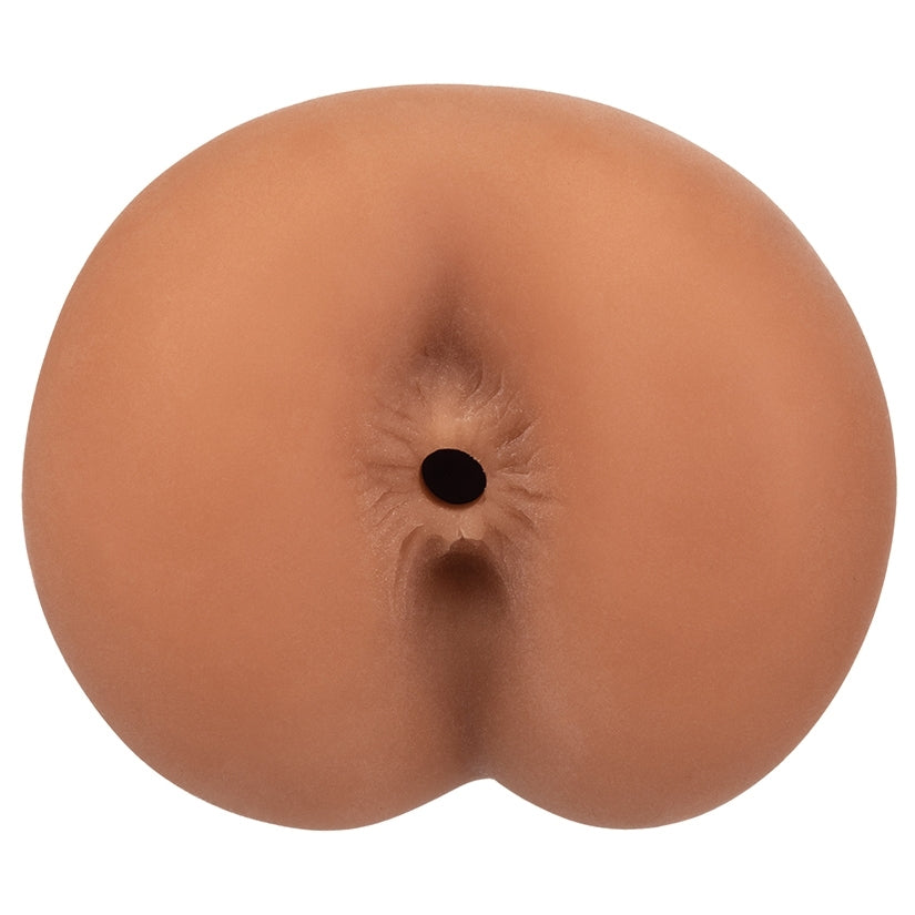 Boundless Anus-Brown