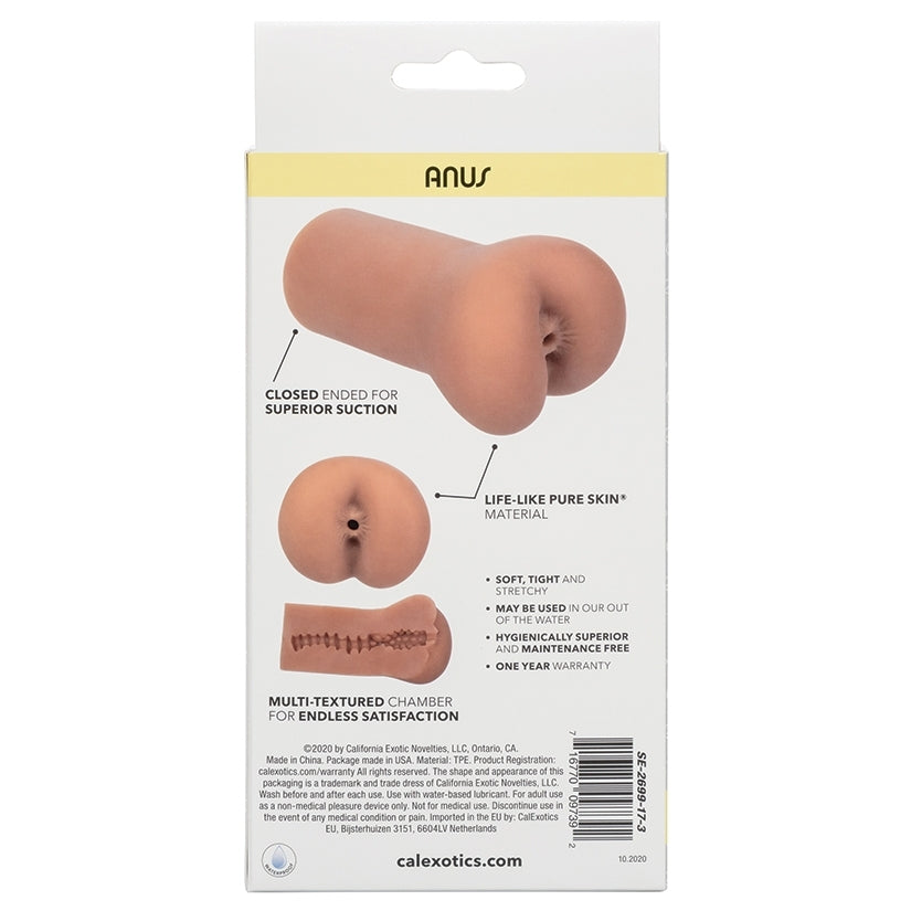 Boundless Anus-Brown