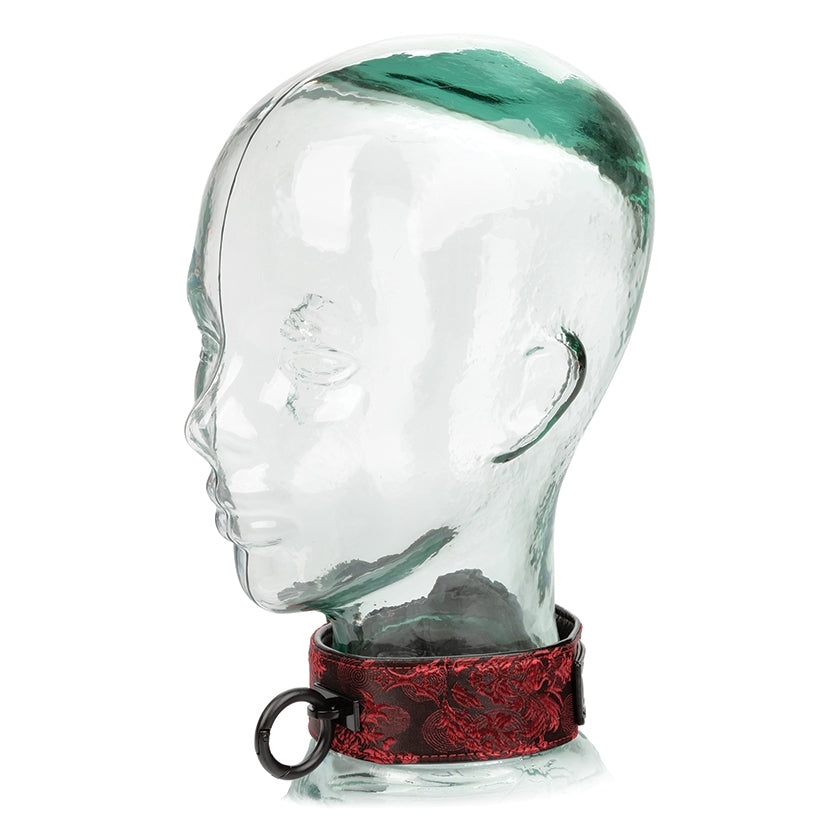 Scandal Collar With Leash