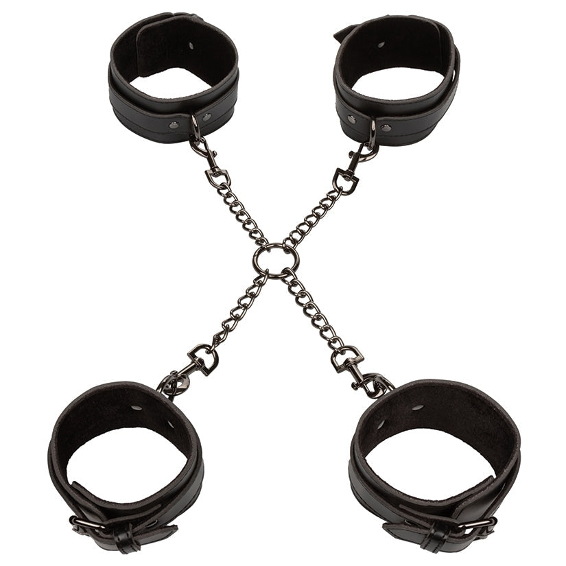 Euphoria Collection Hog Tie