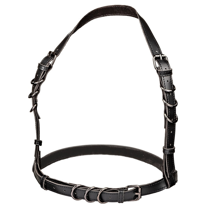 Euphoria Collection Halter Buckle Harness