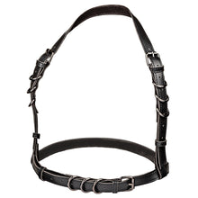 Load image into Gallery viewer, Euphoria Collection Halter Buckle Harness
