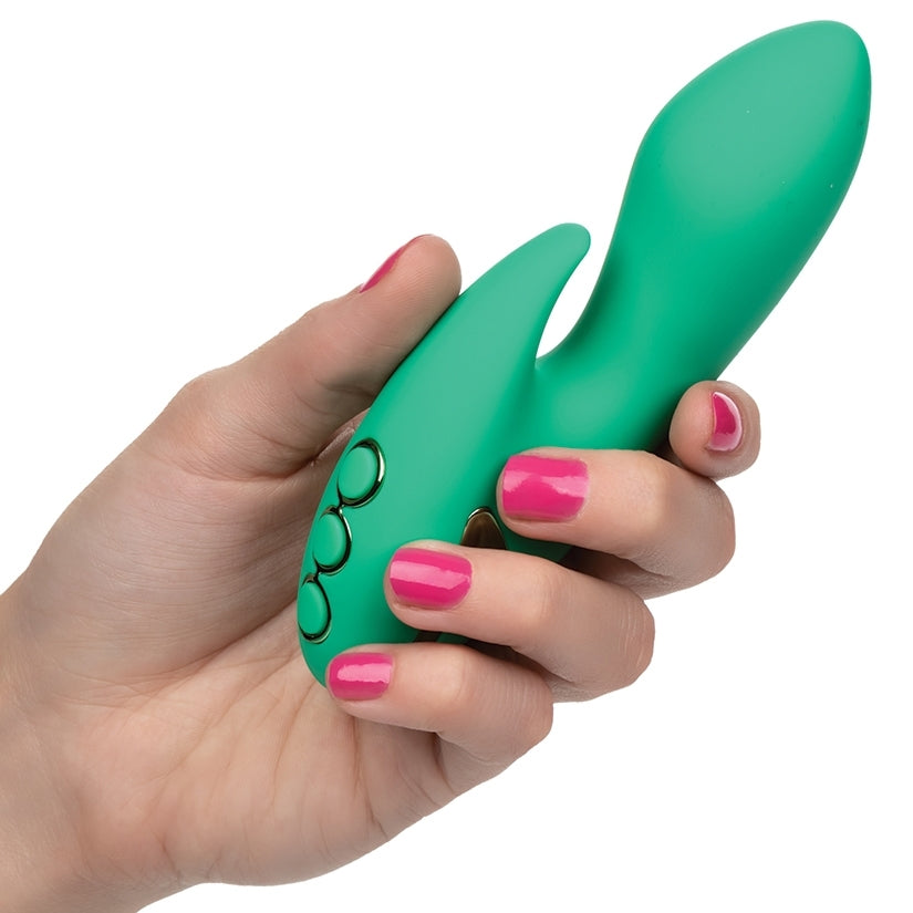 California Dreaming Sierra Sensation